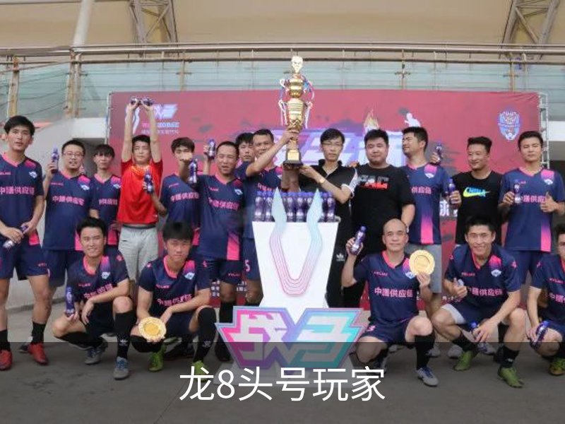 龙8头号玩家介绍